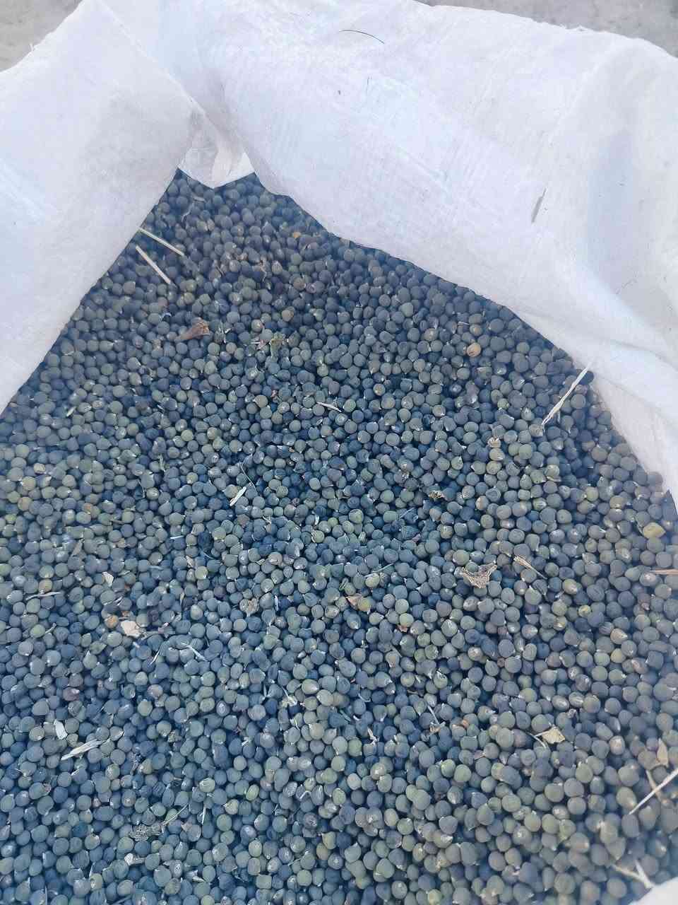 بذور بانيه محسن ام أربعين يوم***********
