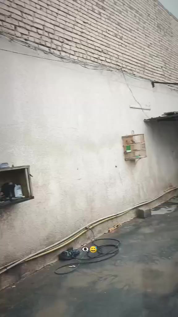 السلام عليكم دراجه صارله شهر معمره اوراق اسكنر 750


**إذا كنت صاحب هذا الإعلان وتريد حذفه لأي سبب، رجاءا أرسل رسالة إلى الدعم الفني**