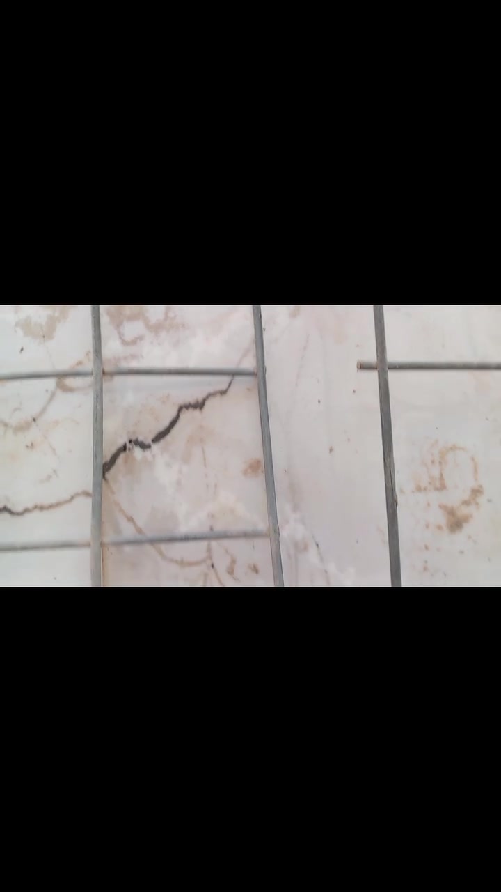 سلام عليكم ورحمة الله غراض للبيع بل نسبة للهيسكو ثقيل ونشرت فيديو للتوضيح السوكي معروف هاذة أمريكي والواجهات الخشب جديد ممستعملة يرهم لكافت الطيور رحمة لولديكم اني مكلف الي تعجبة شغلة يتصل وبل خدمة (***********)
