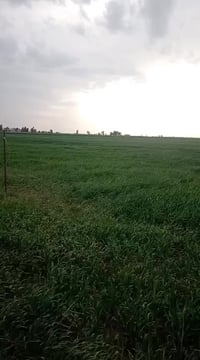 كركوك • قرب شاه سيوان • ٥دوانم