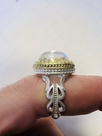 النجف • ٧٥ قفله