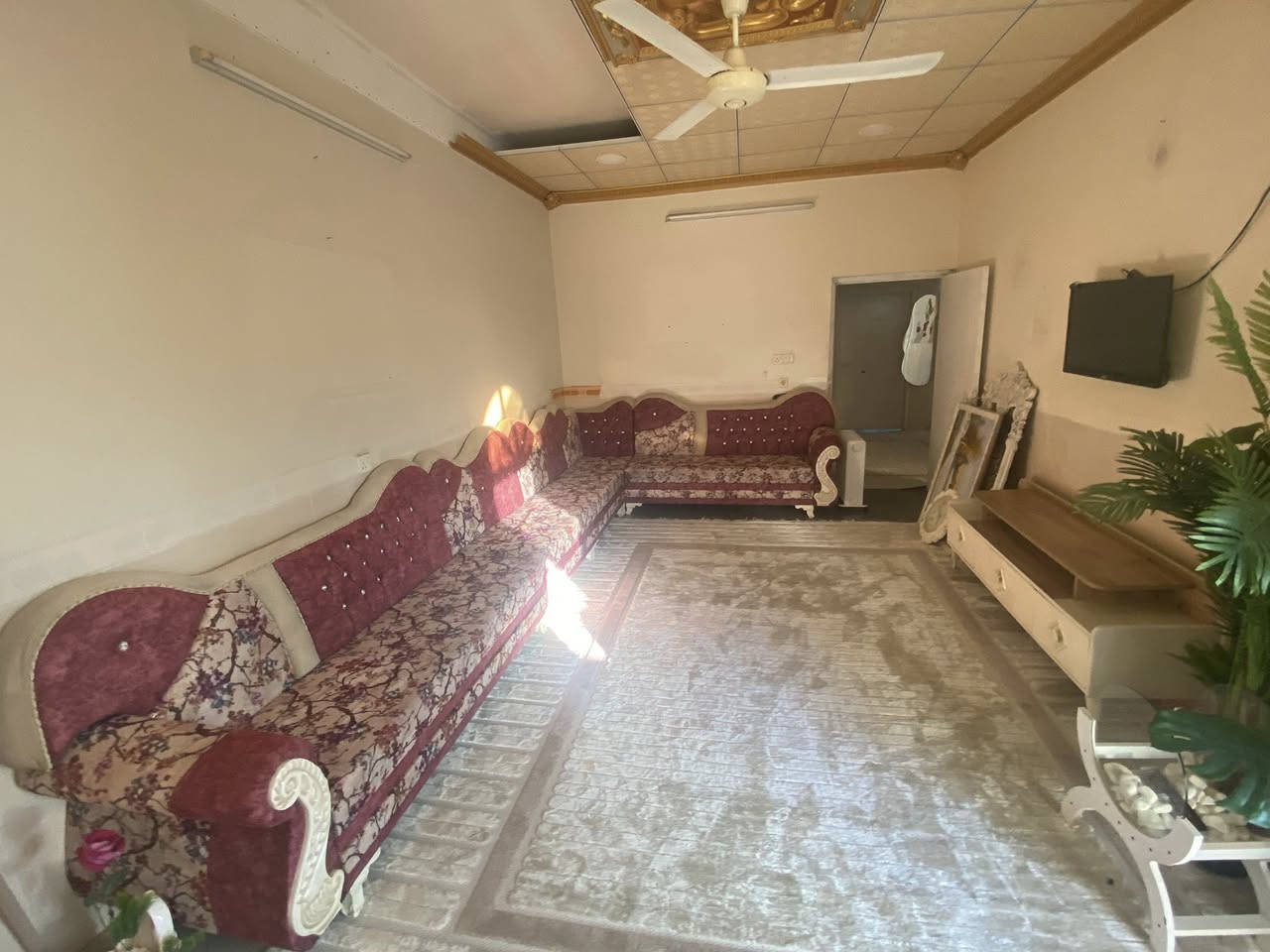 تخم قنفات 7 متر آخو الجديد  السعر 225.  الاتصال ع رقم. ***********
