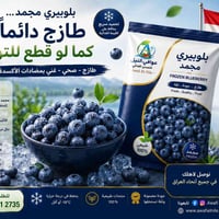 بلوبيري مجمد • توت ازرق مجمد • فواكه مجمدة • بلوبيري IQF • توريد بلوبي...