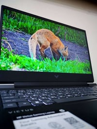 HP Victus • i5 جيل ١٣ • RTX ٤٠٦٠