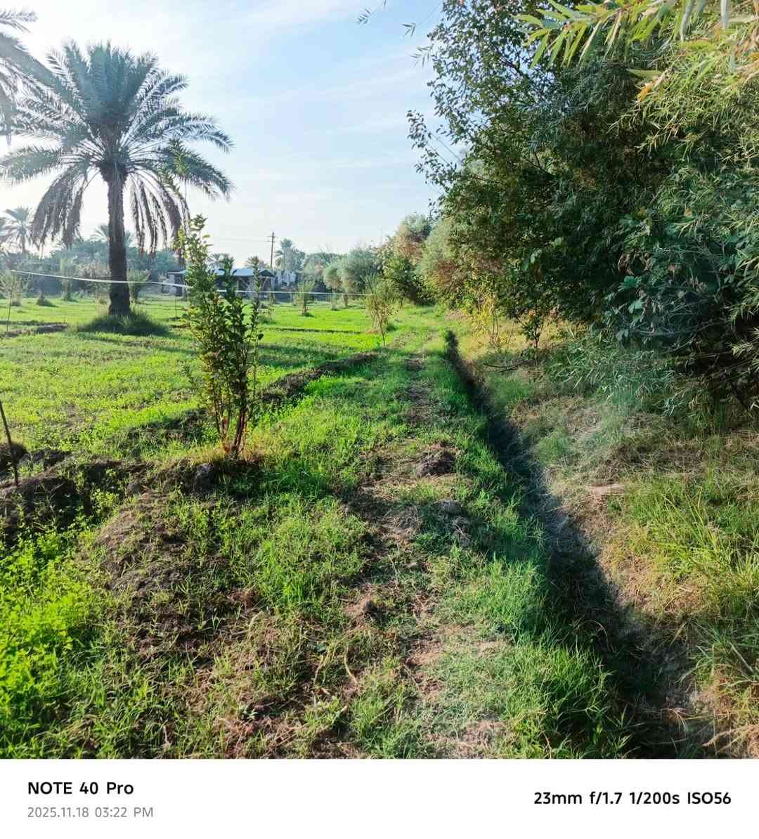 بستان للبيع ٢ دونم طابو سند ٢٥ عزيزيه برينج الكطع طريق الزوار بداية الكطع وجه على التبليط ماء سقي من الشط مباشر وكهرباء وماء اساله للاستفسار ***********
