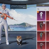 حساب ببجي • مستوى ٧١ • سكنات ٥١