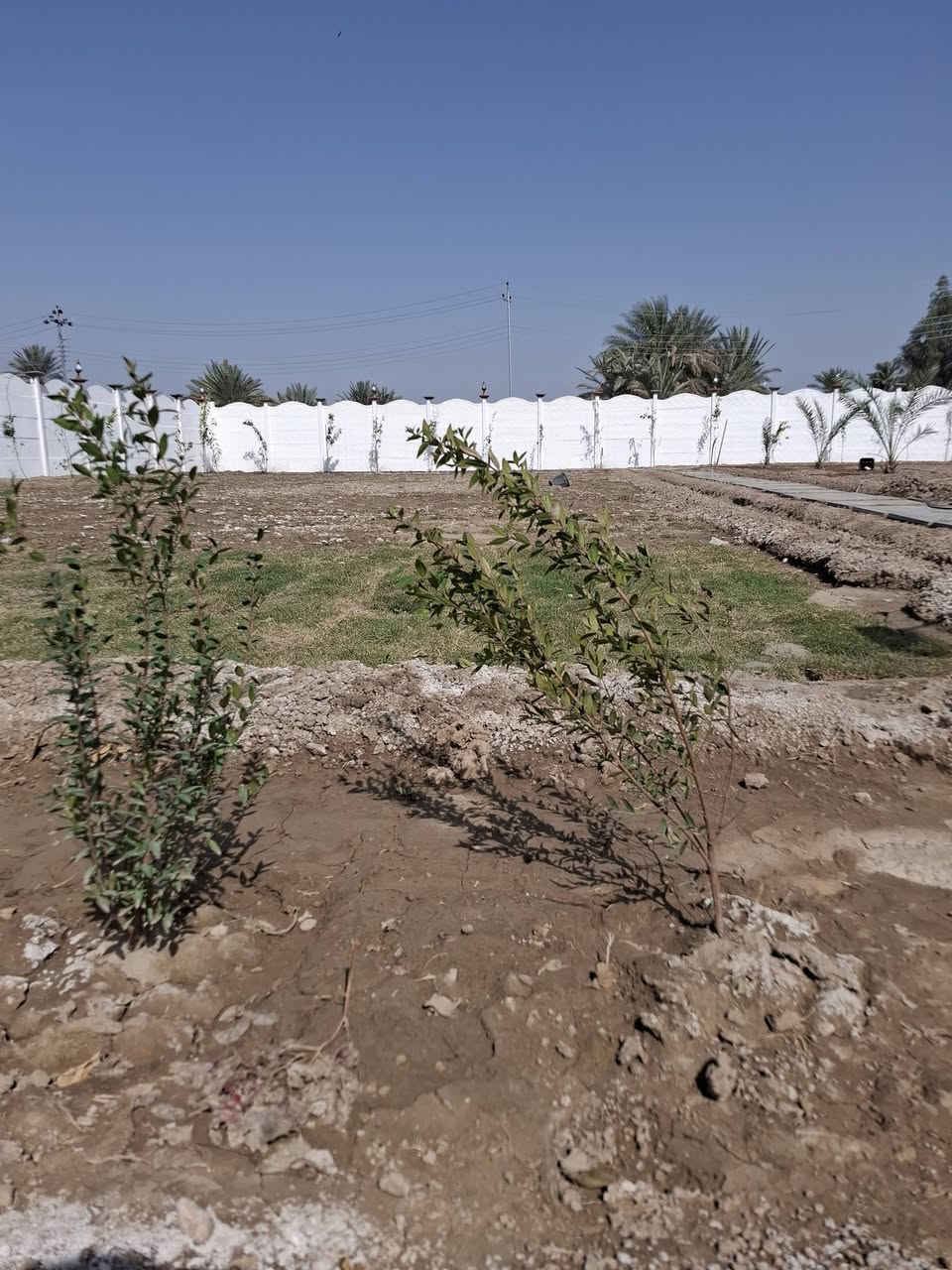 للبيع 《فرصه سكنيه استثماريه 》
السلام عليكم  
تم توفير مزرعه طابو زراعي سند ٢٥
المساحه.     :  1200 متر 
#الواجهيه: 30 متر
صنف العقار : طابو زراعي سند ٢٥
الخدمات.    : خدمات كامله《 مي كهرباء تبليط  》
السند.         : طابو زراعي سند ٢٥
#الموقع. .  : بابل / جسر سيف سعد طريق ياحسين بالقرب من تقسيم حسين مارينا. 
#ملاحظه.  : تحويل مباشر بأسم المشتري .
#ملاحظه : المنطقه ذات توسع جدا قوي 
#السعر :         110 مليون 
#ملاحظه.  : خدمات متوفره ماء كهرباء تبليط  (الشراي الحقيقي اتصل وبخدمتك)
للاستفسار الاتصال على الارقام التاليه:
*********** اتصال + واتساب 
*********** اتصال + واتساب 
#بابل_الحله
