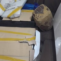 أدوات تفصيخ • سيدونا كرنفال • ٢٠٢٠-٢٠٢٥