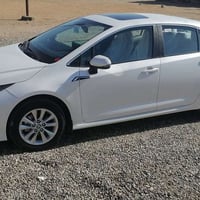 كورلا خليجي • ٢٠٢٣ • رقم اربيل