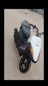 ماكس عدلة • بوشه ٥٥ • ماعوزها