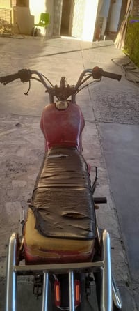 فيوم ٥ • ٥ كير • سلف
