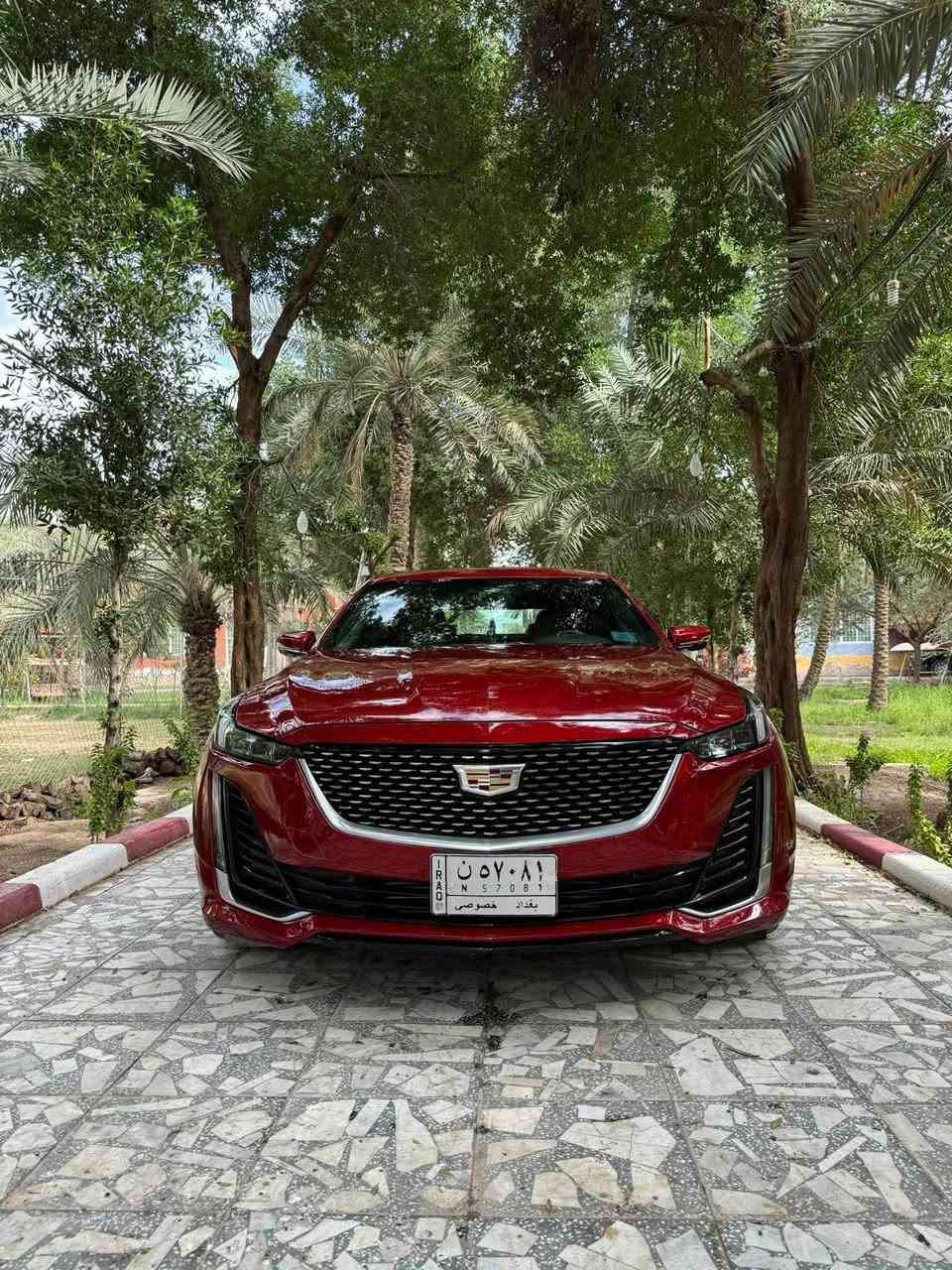 كاديلاك ct5 موديل 2020
رقم بغداد حرة
تقرير غرق  السياره 
مغلفه نانو
فتحة بانو راما فول مواصفات 
4 سلندر تيربو 
محرك2000
 بيع فقط 
للاستفسار على السعر التواصل على الرقم :
***********
