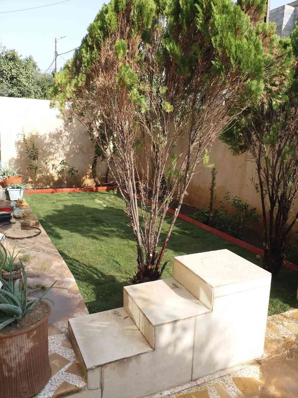 تاسيس وترتيب الحدائق وقطع الاشجار الكبيره ***********---***********
