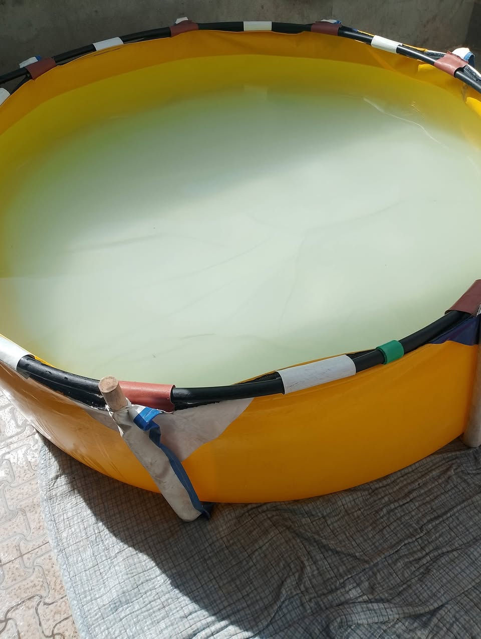 مسبح اللبيع عمق نص متر طول 2ونص السعر 50الف بي مجال


**إذا كنت صاحب هذا الإعلان وتريد حذفه لأي سبب، رجاءا أرسل رسالة إلى الدعم الفني**