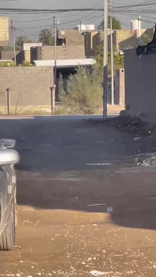يالله 
بيت مساحته 120 م الوجه 10 نزال 12موقعة المسيب طريق السيد إبراهيم ع قرب المولدة الثانية طابو زراعي السعر 72👉 وبي مجال 
***********
