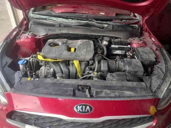 تفصيخ فورتي امريكي 2021
متوفر كل غراضها من ابواب بنيد جاملغ 
كير مكينة كهربائيات حدادية 
بغداد الشعلة 
***********
