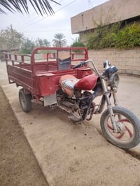 ستوته • شغاله • كامله