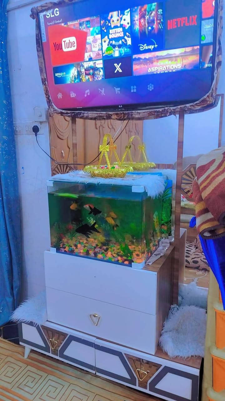 جربايه + دوشك طبي + ميز تواليت ب250 كلهن مكانهن حي مكرمه


**إذا كنت صاحب هذا الإعلان وتريد حذفه لأي سبب، رجاءا أرسل رسالة إلى الدعم الفني**