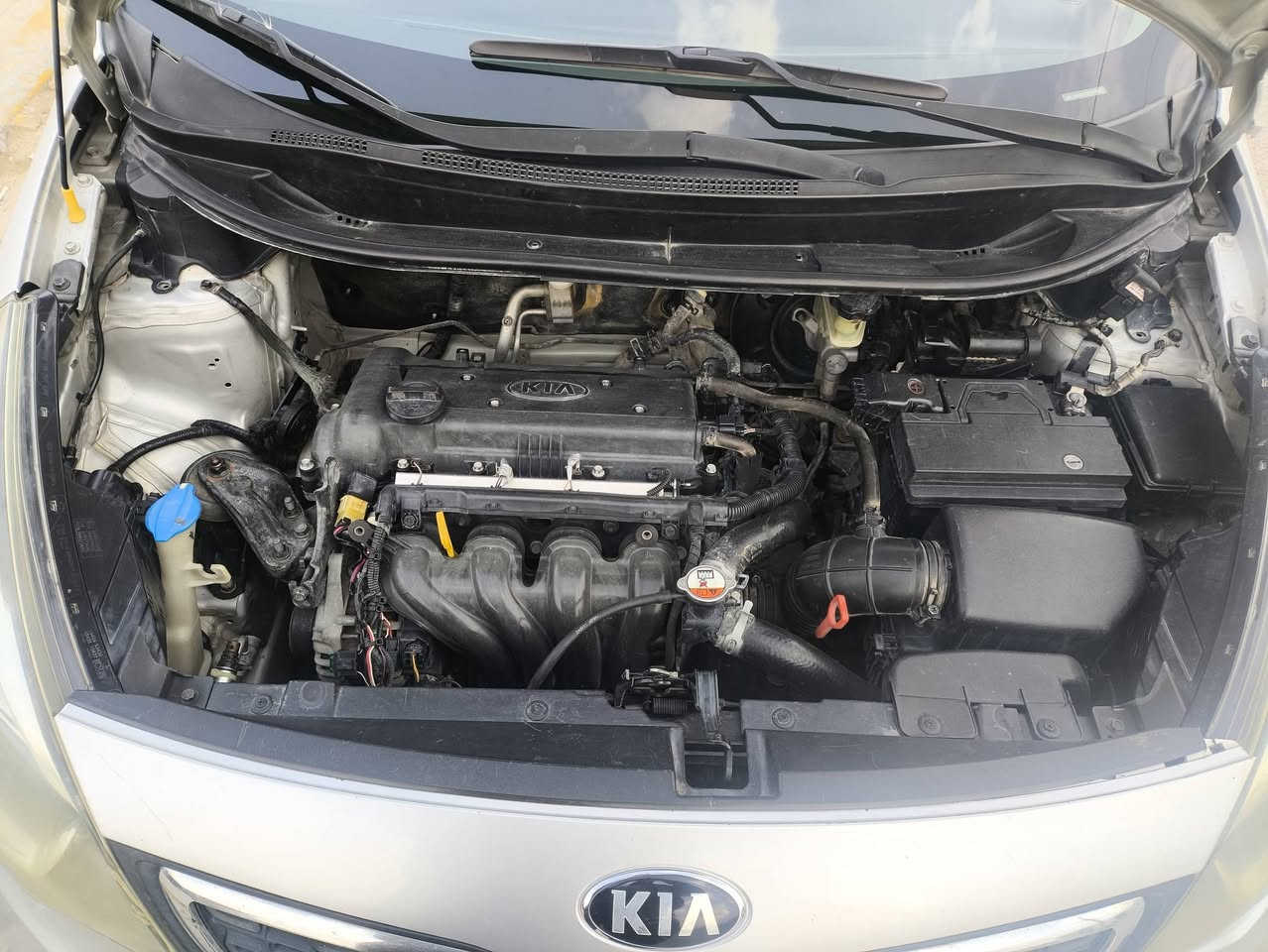 السلام عليكم
كيا ريو موديل 2015 خطرتين خليجي بيه جاملغ شوف العين مكينه وكير خير من الله تجي تكلب تشوف تقتنع الك يمي مداور باسمي قادسيه المكان قضاء غماس السعر 85وبيه مجال 

***********
