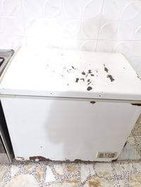 مجمدة شغالة • ٨٨×٦٠ سم • النجف