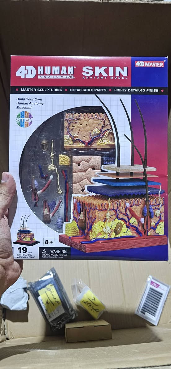مجسم طبقات الجلد لطيف مرتب لطلاب والدكاترة الجلدية والتجميل الي مهتم يتفضل


**إذا كنت صاحب هذا الإعلان وتريد حذفه لأي سبب، رجاءا أرسل رسالة إلى الدعم الفني**