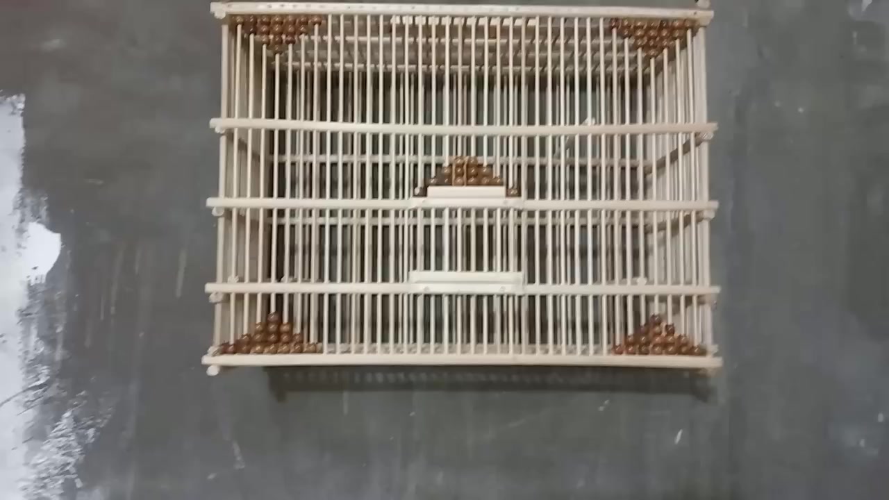 المكان بغداد ***********
