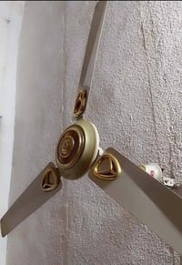 بنكه باكستاني • اصليه • شرطه خامسه