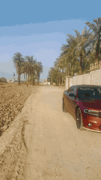 النزال • ٥٠٠م • واجهة ١٣ ونص