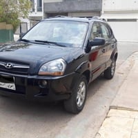 توسان • ٢٠٠٩ • بدون صبغ