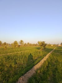 ٣٠ دونم • عقد اصلاح ١٧ • ابو عراد بحلكهه