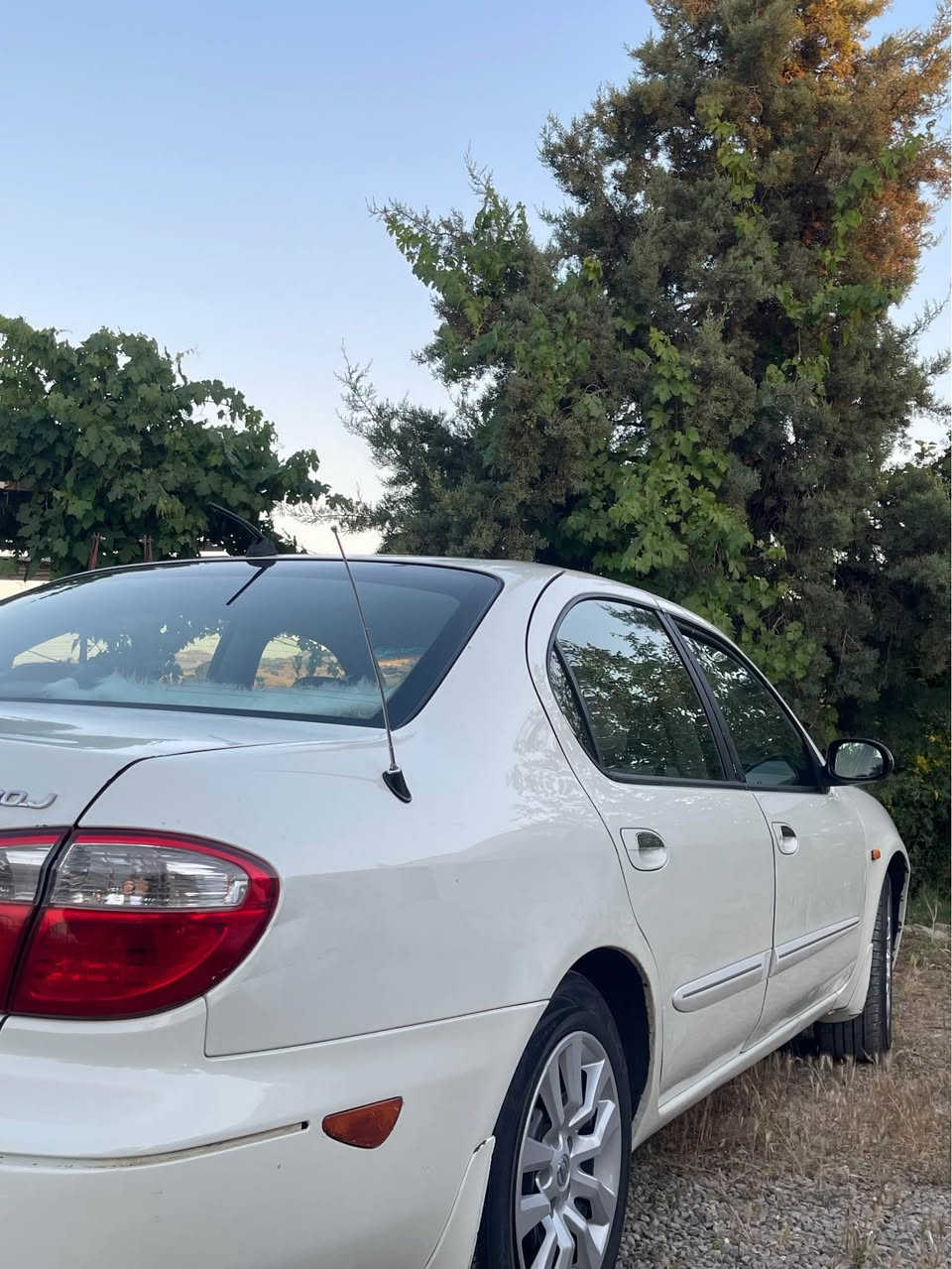 بەناوی خوا گەورە 
فرۆشتن 

نیسان ماکزیما  

مۆدێل / ٢٠٠٢ 
٦ پستۆنی مەکینە ٣٠٠٠ سەدامی 

سەیارەکە ٣ پارچە سبوغ هەیە  
دەرکەی سایەق دوو پارچەکەی دی تێکەڵاو کراون 
هەندێ پەڵەی سەر چامڵغی پشتەوە هەیە 

سەیارەکە سەنەوی تا ٢٠٢٨ نوێیە
سەیارەکە نمونەیە لە جوانی 

ژمارە تەلەفۆن / ***********

نرخەکەی 55$ وەرەقەو مەجالەکی کەم كويسينجاك, أربيل
