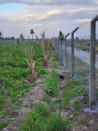 للبيع8دونم بسعر 7 مليون  وقابل للتفاوض #عن_خط_التنميةواحدكيلواواقل #وع...