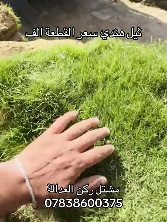 👇👇🔥🔥


**إذا كنت صاحب هذا الإعلان وتريد حذفه لأي سبب، رجاءا أرسل رسالة إلى الدعم الفني**