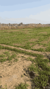 المدائن • نصف دونم • ٢٥٠٠م