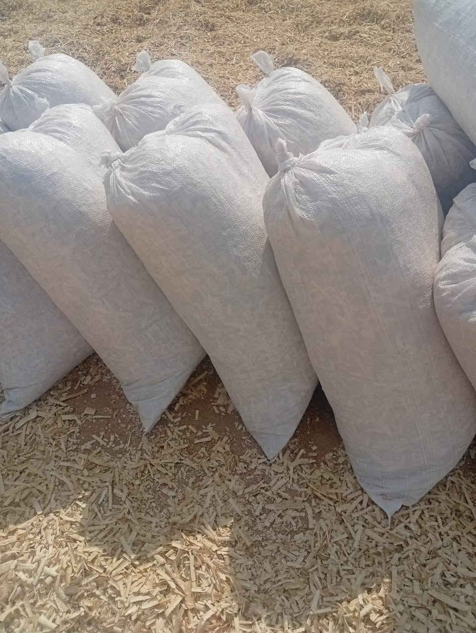 بسم الله الرحمن الرحيم

السلام عليكم أخوان مربي الدواجن توجد نشارة بيضاء بأسعار مناسبة اقل طلب ٥٠ كيسا الية للاتصال على الرقم التالي ***********

ملاحضة أطلب النشارة قبل موعد  الحاجة إليها بأيام بسبب تراكم الحجوزات
