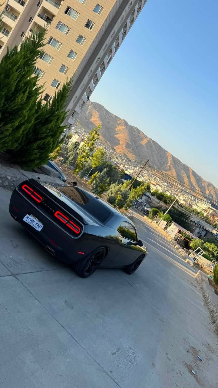 دوج جالنجر ٢٠٢٠
محرك ٦
كشن كهرباي 
شاشه 
كاميره
بصمه 
ماشي ٨٠ ميل
مواصفات sxt
صبخ بس بونيد صبخ بدون شاصي 
ارباك سيستم 
رقم سنوي هذة جديد كلو بسمي تحويل وكالة شرط 
تغم تايرات جديد 
سعر١٦٥ ورقه 
مكاني دهوك 
رقم موبايل واتس اب ***********
