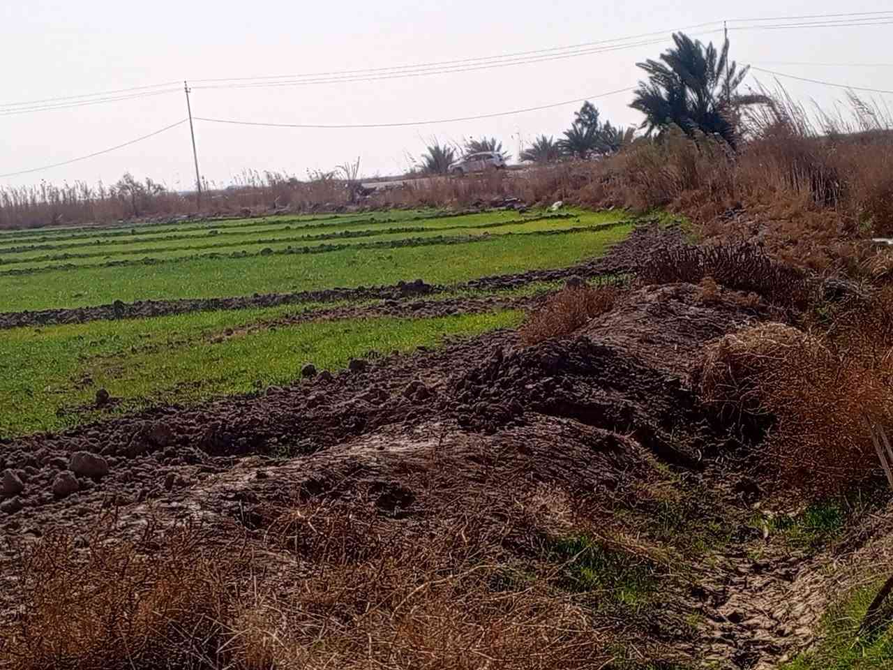 ١٠ دوانم لبيع صالحة حقول او زراعة اوسكن سعره دونم ٦ بي مجال
***********
