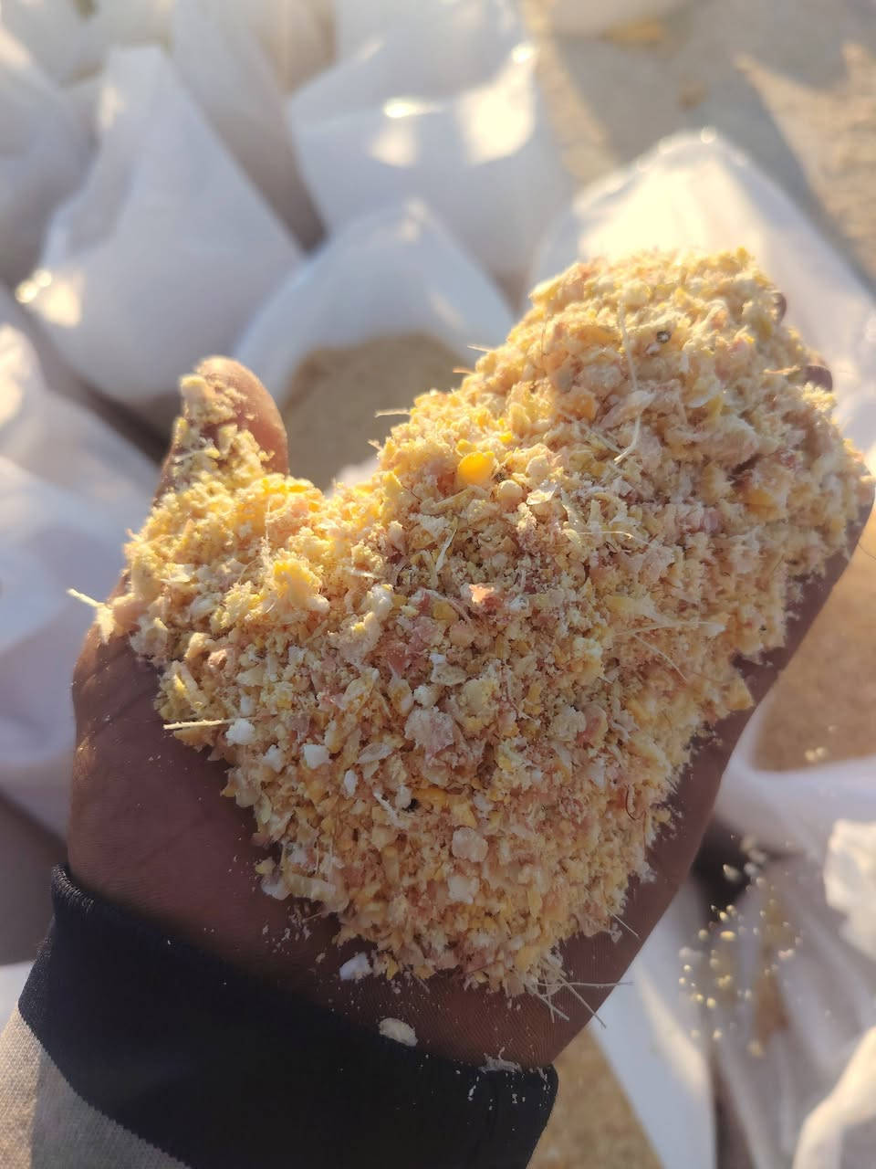 السلام عليكم يوجد اذره مجروش درجه اولى مكاني بابل الحمزه الغربي سعر الطن 350
***********
