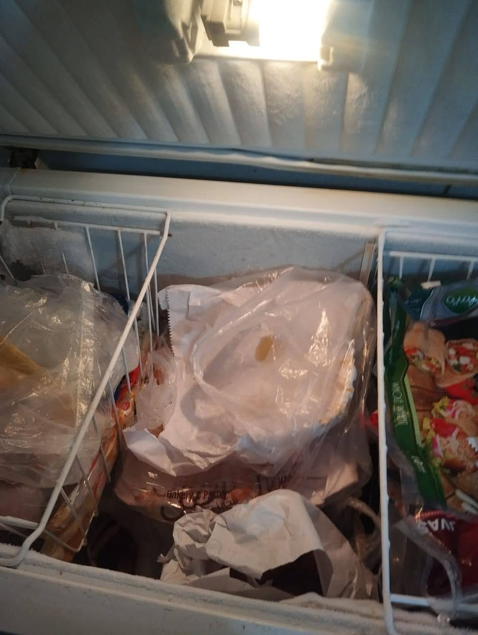 ثلاجه ومجمده شغلات سعرهم ثنييهم 380 ومولده أم ريمون كي 30 سعره مليونين وربع بيه مجال بس شراي رجاءن


**إذا كنت صاحب هذا الإعلان وتريد حذفه لأي سبب، رجاءا أرسل رسالة إلى الدعم الفني**