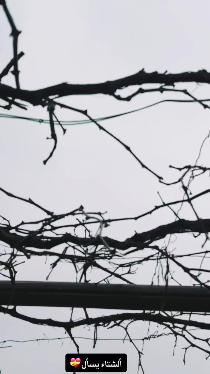 سلام عليكم . تكتك. للبيع. ٢٢. شهر. ٨.  تكتك. خير من الله كل نقص ما بيها احلى من صور رقم. ديالى. بسم اخوي 

مكاني. بعقوبه. سعر من الأخير.  ما احب اعامل. اني ٩. ونص.  والمو. شراي. لا. يعامل ولا. بطلبي. خاص وشراي  ع. راسي. وشكراً. 💟


**إذا كنت صاحب هذا الإعلان وتريد حذفه لأي سبب، رجاءا أرسل رسالة إلى الدعم الفني**