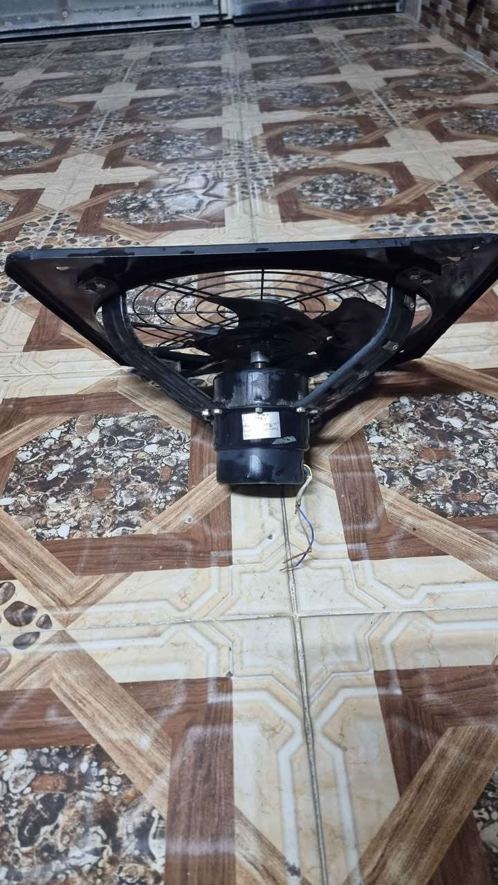 ساحیبه 50×50 به شه رت ئیشه کا
korek       *********** أربيل, العراق
