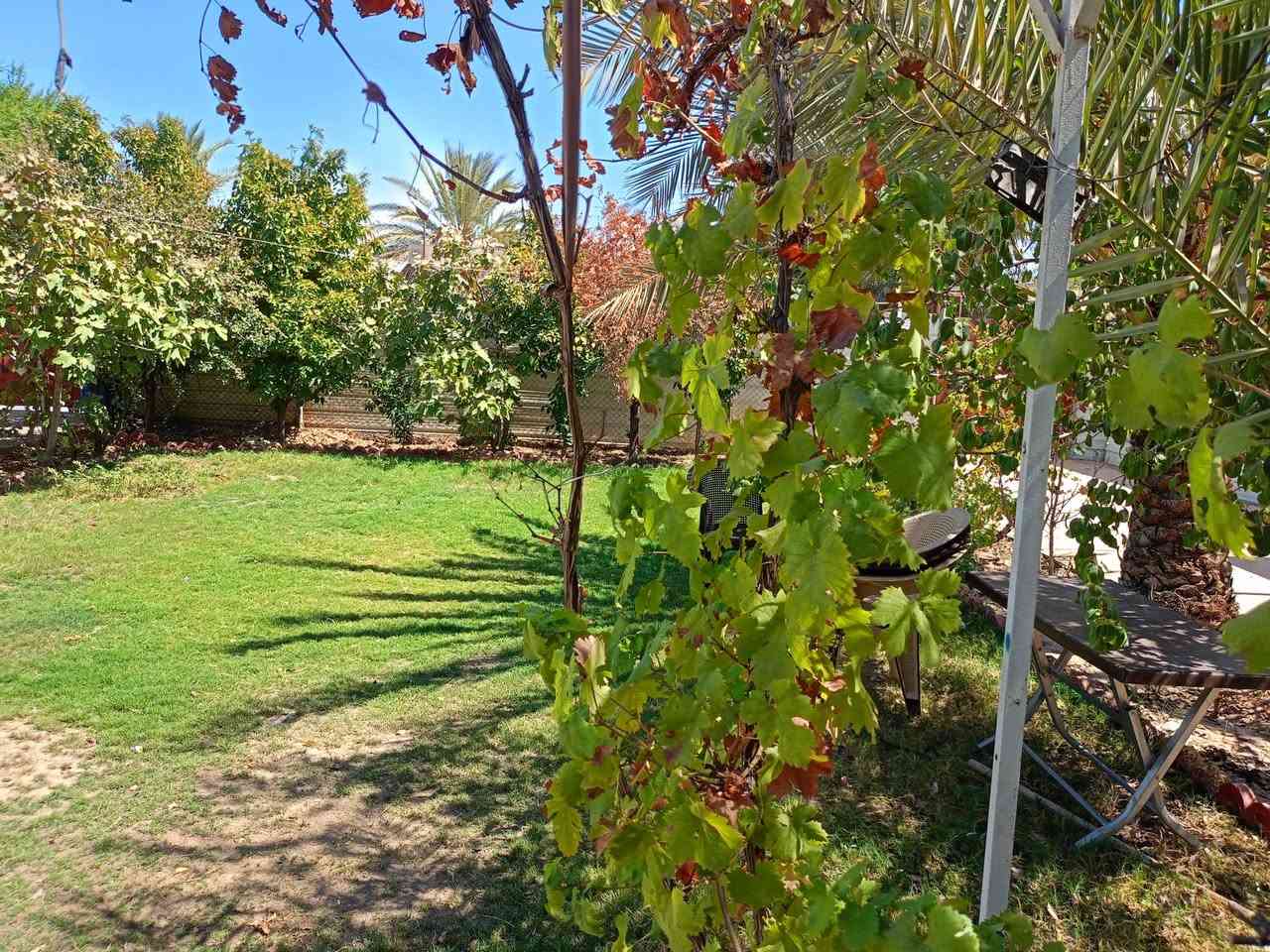 بيت مؤثث بالكامل غرفتين وصاله ومخزن اضافي سيراميك كراج  سياره عدد اثنين يعني كراجين سيراميك فول مؤثث بالكامل مع الاثاث او بدون اثاث سعر 24///***********
