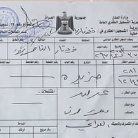 الناصرية • طابو باسمي • توزيع الصحة