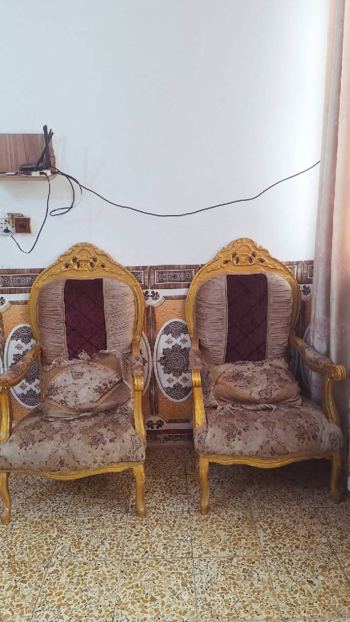 تخم للبيع


**إذا كنت صاحب هذا الإعلان وتريد حذفه لأي سبب، رجاءا أرسل رسالة إلى الدعم الفني**