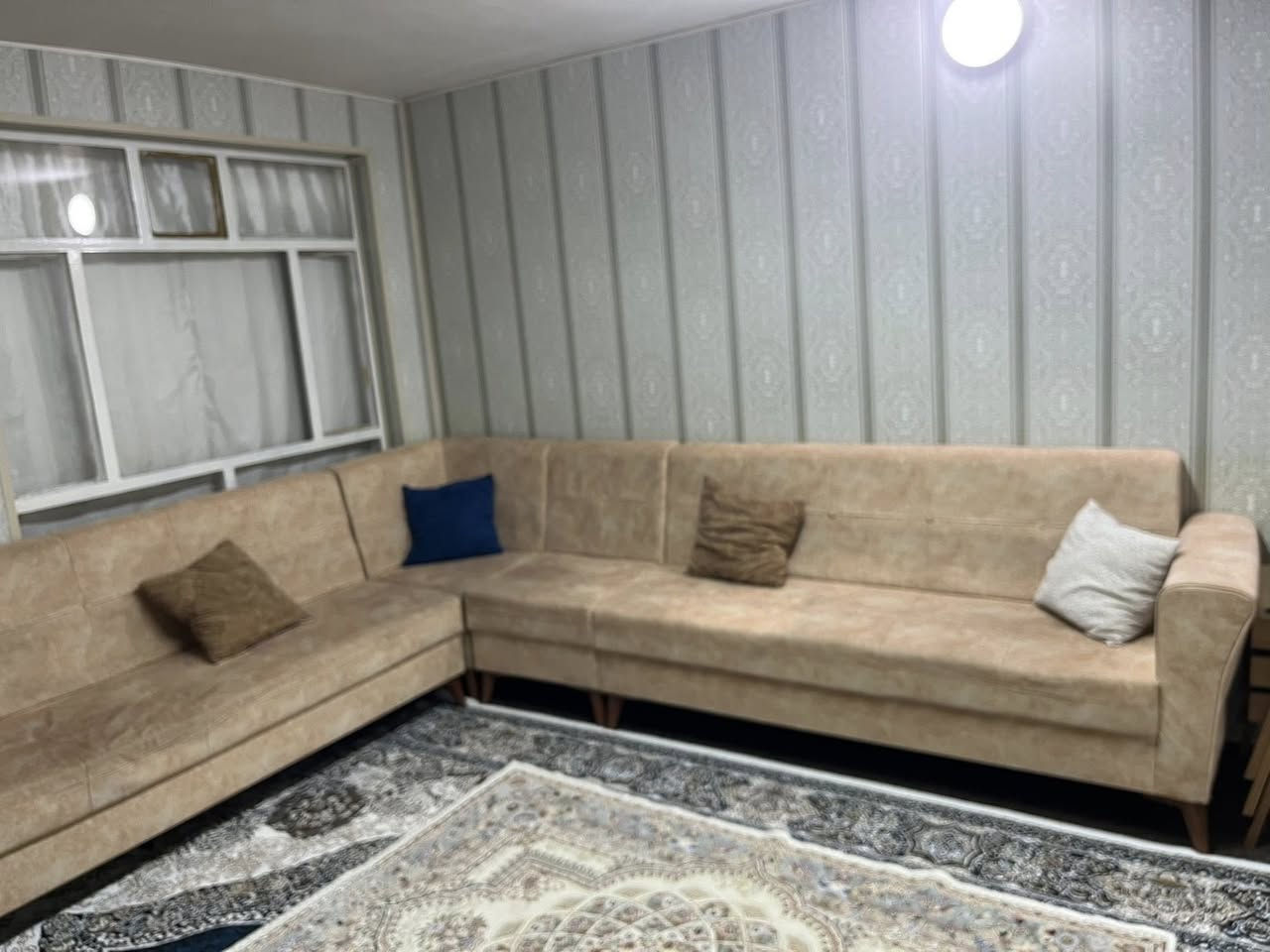 لە سلێمانی ٨ نەفەریە دڕاوی و سوتاوی نیە نرخی ٢٣٠ هەزارو معامەلە


**إذا كنت صاحب هذا الإعلان وتريد حذفه لأي سبب، رجاءا أرسل رسالة إلى الدعم الفني**