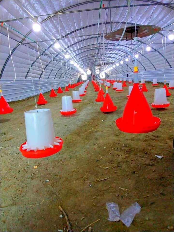 🔥 نجاح حقل الدواجن يبدأ من الجادر الصح!
السلام عليكم يا أصحاب الحقول — إحنا شركاؤكم بنجاح البيوت البلاستيكية وتشغيل الأيدي العاملة العراقية 🇮🇶

🌡 أهم شي بالحقل هو التحكّم بالحرارة…
وبجوادِرنا الأصلية (مع شهادة منشأ) ترتاح من الشمس ☀️ والبرد ❄️ وتضمن عمر أطول للحقل.

⛺ چادر تركي أصلي TARPAULIN – PVC
✔️ معالجة UV +7% ضد أشعة الشمس
✔️ حلقات وكفّة وحبل جاهز للتركيب
✔️ مناسب للدواجن 🐥 — المواشي 🐂 — البحيرات 🐟 — أحواض خزن الماء 💧 — وأغطية البضائع

📏 تتوفّر قياسات كبيرة للمساحات الضخمة مع طرق ربط خاصة،
وتتوفر أيضًا قياسات صغيرة — وعدنا 7 أصناف مختلفة حتى تختار اللي يناسبك.

📌 العنوان: بغداد — الشورجة — شارع الجمهوري — مقابل عمارة الضمان
🌟 جملة ومفرد
📞 واتساب إذا ما صار رد: ***********
✔️ المنتج ماركة عالمية ومجَرّب
