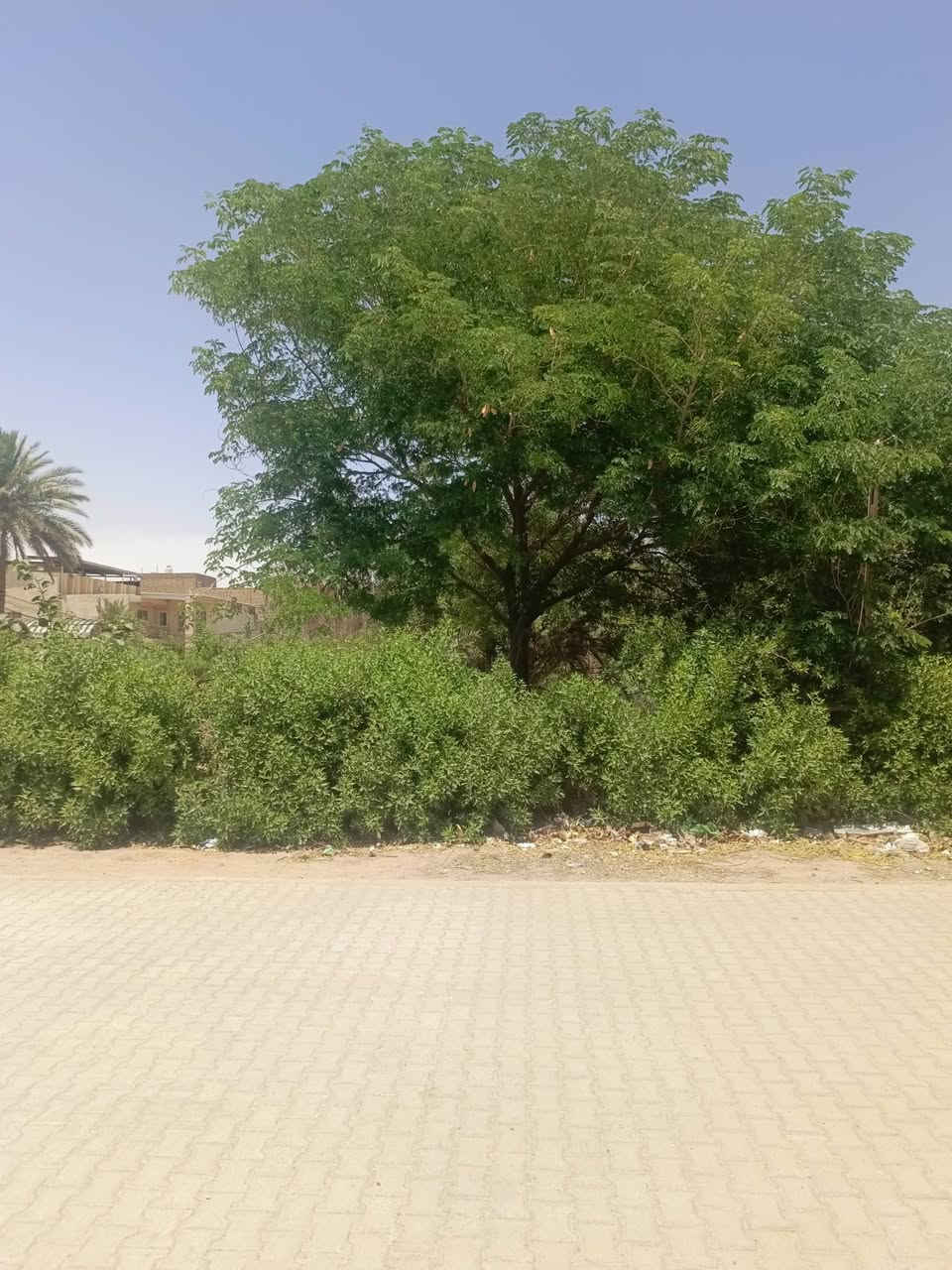 السلام عليكم ورحمة الله 

للبيع بيت قديم حكم عرصه 192م واجهه 12م نزال 16م شارع 10م وساحه موقع سكني مميز النجف الاشرف حي الزهراء منطقة هادئة البيت عكس الشمس تفاصيل اكثر الاتصال بنا على هذا الرقم *********** يتوفر واتساب او مراجعة مكتب محمد شربه و ابو امير الاسدي عنوان المكتب ملحق الروان قرب جامع البغدادي مجاور علي سيدي
