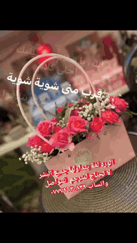 🎁🎊عرض🎁عرض🎊🎁يوم الجمعة🎉🎊 والسبت🎉🎊
للورد البيبي روز والكريز الطبيعي
٥ أغصان ٣٠ وردة أو أكثر ب ١٥ الف 
٧ أغصان ٤٠ وردة أو أكثر ب ٢٠ الف
٩ أغصان ٥٠ وردة أو أكثر ب ٢٥ الف
١٢ غصن ٦٥ وردة أو أكثر ب ٣٥ الف
مع كل باقة غصن ٥ وردات هدية 🎁
ورد الروز الطبيعي
١٠ وردات ب ٣٠ الف + وردة هدية 🎁
٢٠ وردة ب ٥٥ الف + وردة هدية 🎁
الورد لغة يتداولها جميع البشر لا تحتاج لمترجم🥰
خلي مناسبتك تبقى ذكرى 💌
نجهزلك البوكيه حسب ذوقك — ورد طبيعي، تغليف فخم
لا تنتظر المناسبة… اصنعها بنفسك 🎁
📍بغداد – اعظمية - سبع ابكار
الشارع العام - مقابل مطعم مندي البلام
للطلب مراسلتنا  أو واتساب
على الرقم ***********
تابعو الصفحة حتى يصلكم كل ماهو جديد يخص كل مناسباتكم
#ورد 
#وردطبيعي
 #وردصناعي 
#مناسباتكم 
#بوكس_هدايا 
#اعيادميلاد 
#مسكات 
#بغداد_العراق 
#الشعب_الصيني_ماله_حل 
#fyp 
#كرسمس

