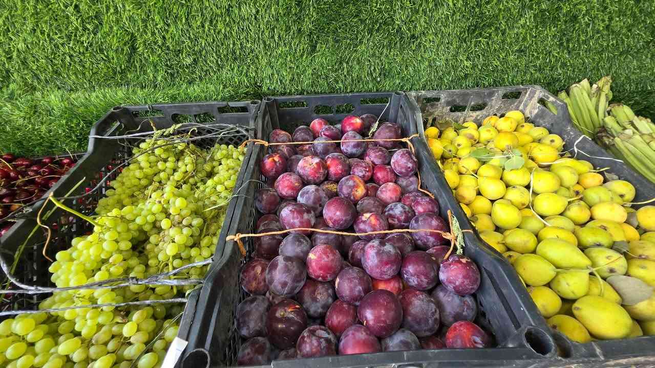 السلام عليكم زبائنا الكرام توفر معاش رقم واحد فريش والاسعار كلش مناسبه
طماطه 500
خيار 500 
اسود 500 
قرع 500 
بطاطا 625 
بصل 625 
لهانه 750
باميه 2000
فاصوليا 2000
لوبيا 2000
فلفل أصابع 1500
ترعوز 1000
فلفل 1000 
فواكه مشكل 1,500
خوخ
الو اصفر
الو احمر
خوخ طراقي
خوخ صوفي
خوخ تيني
عنب
موز
كرز


**إذا كنت صاحب هذا الإعلان وتريد حذفه لأي سبب، رجاءا أرسل رسالة إلى الدعم الفني**