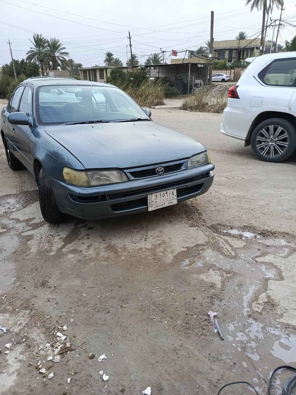 سلام عليكم كورلا للبيع مديل1992 مكفولة من العيب الشرعي ونقل جثه والكص  ومكفوله من الضربه القوية السيارة مكينه وكير حاويه باتري جديد حداديه ميه بل ميه تخم تأير قبل يومين شاده رقم بغداد  العنوان بابل الكفل  ***********
السعر 48
